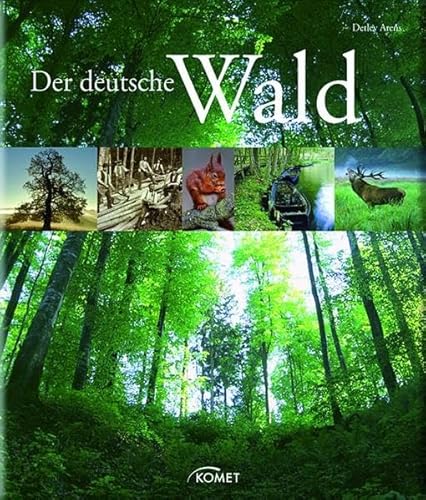 Imagen de archivo de Der deutsche Wald a la venta por medimops