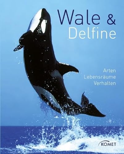 Beispielbild fr Wale & Delfine: Arten, Lebensrume, Verhalten zum Verkauf von medimops