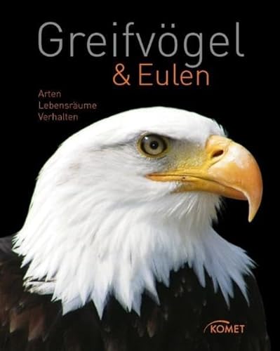 Stock image for Greifvgel & Eulen: Arten, Lebensrume, Verhalten for sale by medimops