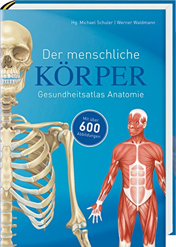 Imagen de archivo de Der menschliche Krper: Gesundheitsatlas Anatomie a la venta por medimops