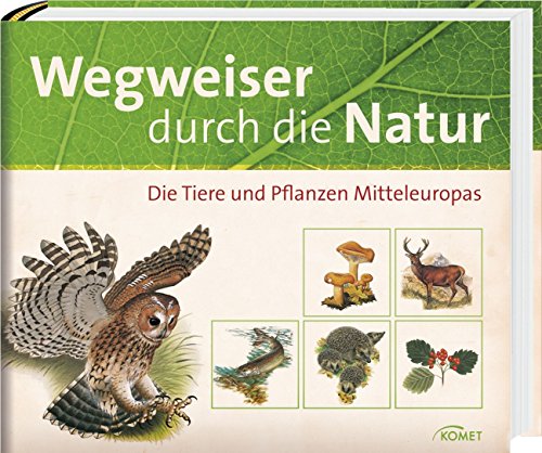Stock image for Wegweiser durch die Natur: Die Tiere und Pflanzen Mitteleuropas for sale by medimops