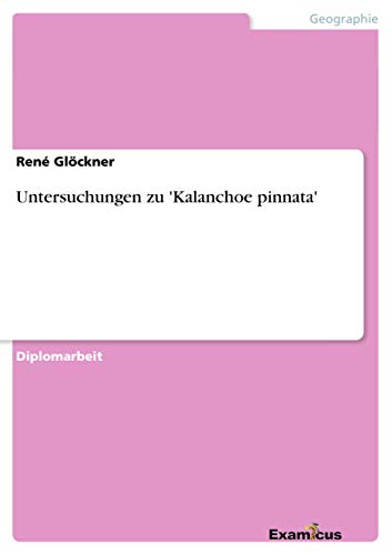 Beispielbild fr Untersuchungen zu 'Kalanchoe pinnata' zum Verkauf von medimops