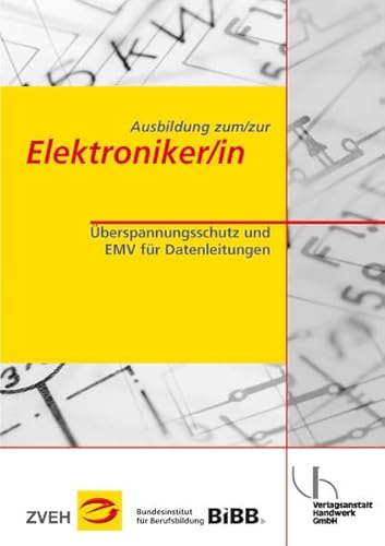 Ausbildung zum/zur Elektroniker/in: Überspannungsschutz und EMV für Datenleitungen - Kruse, Detlef