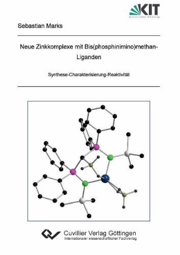 9783869552651: Neue Zinkkomplexe mit Bis(phosphinimino)methan-Liganden. Synthese-Charakterisierung-Reaktivitt