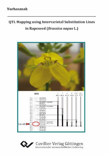 9783869555416: QTL Mapping using Intervarietal Substitution Lines in Rapeseed (Brassica napus L.)