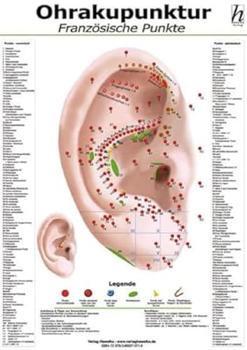 9783869570761: Ohrakupunktur Mini-Poster - franzsische Punkte DIN A4
