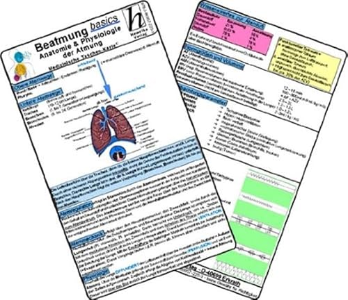 Beispielbild fr Schott, D: Beatmung basics - Anatomie &amp; Physiologie zum Verkauf von Blackwell's