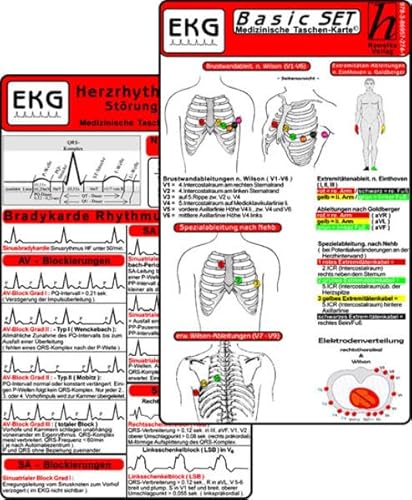 Beispielbild fr EKG Basic Set (er Set) - Herzrhythmusstrungen, EKG Auswertung - Medizinische Taschen-Karte zum Verkauf von Blackwell's