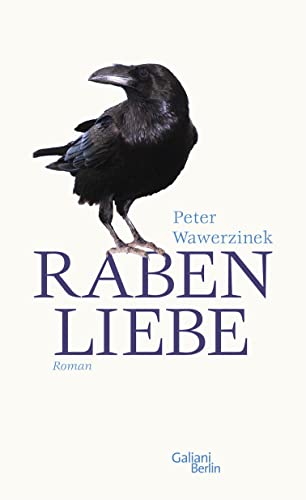 Stock image for Rabenliebe: Eine Erschtterung for sale by medimops