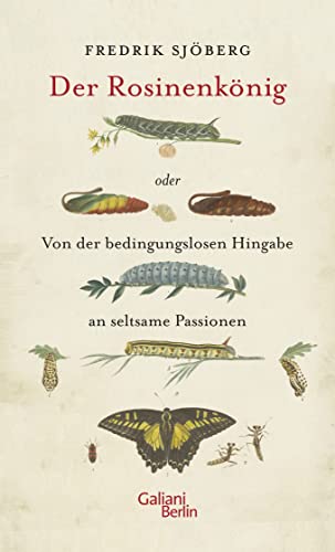 Stock image for Der Rosinenknig oder Von der bedingungslosen Hingabe an seltsame Passionen for sale by medimops