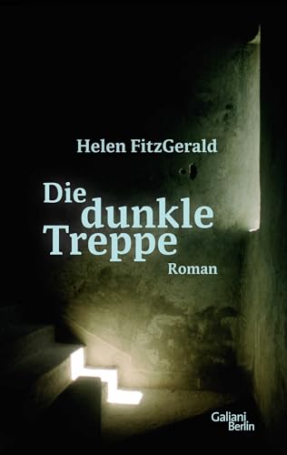 Beispielbild fr Die dunkle Treppe: Roman zum Verkauf von medimops