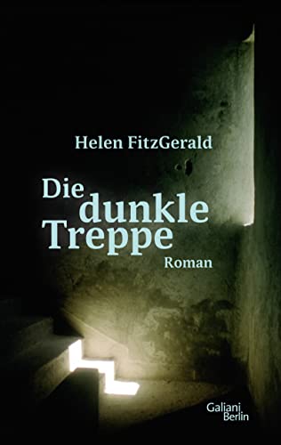 Imagen de archivo de Die dunkle Treppe: Roman a la venta por medimops