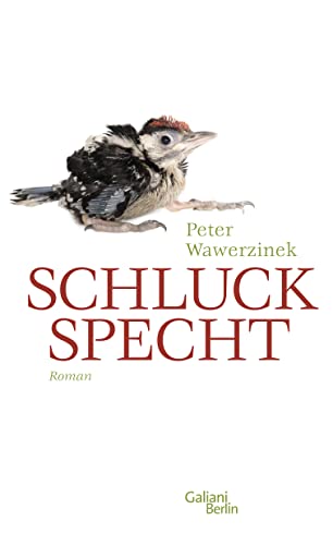 Stock image for Schluckspecht: Roman for sale by medimops