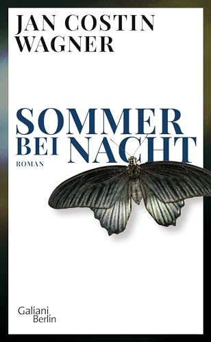 Sommer bei Nacht - Wagner