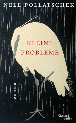 Beispielbild fr Kleine Probleme: Roman zum Verkauf von Altstadt Antiquariat Rapperswil