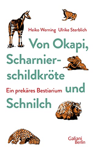 Beispielbild fr Von Okapi, Scharnierschildkrte und Schnilch: Ein prekres Bestiarium zum Verkauf von medimops