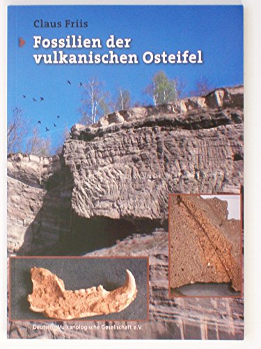 Beispielbild fr Fossilien der vulkanischen Osteifel zum Verkauf von Berg-Berg Bcherwelt