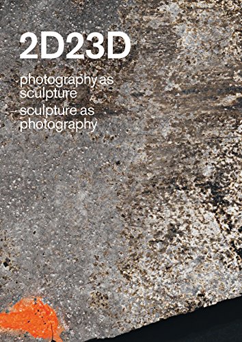 Imagen de archivo de 2D23D: Photography as Sculpture, Sculpture as Photography a la venta por WorldofBooks