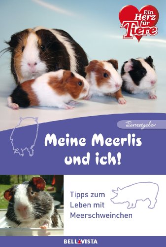 Beispielbild fr Ratgeber Tiere - Meine Meerlis und ich! Tipps zum Leben mit Meerschweinchen zum Verkauf von medimops