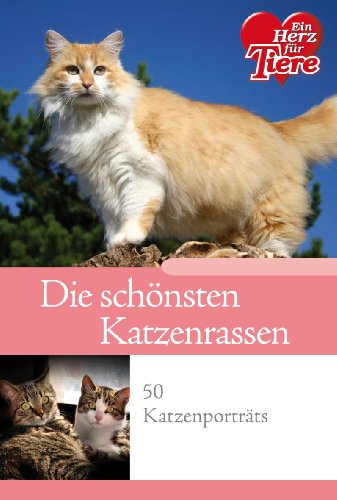 Beispielbild fr Ratgeber Tiere - Die schnsten Katzenrassen im Portrt zum Verkauf von Versandantiquariat Felix Mcke