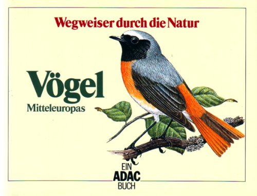 Imagen de archivo de ADAC Wegweiser durch die Natur. Vgel Mitteleuropas a la venta por medimops