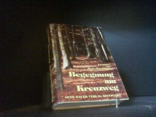Stock image for Begegnung am Kreuzweg for sale by medimops