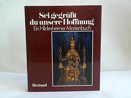 Beispielbild fr Sei gegrt, du unsere Hoffnung. e. Hildesheimer Marienbuch. zum Verkauf von Grammat Antiquariat