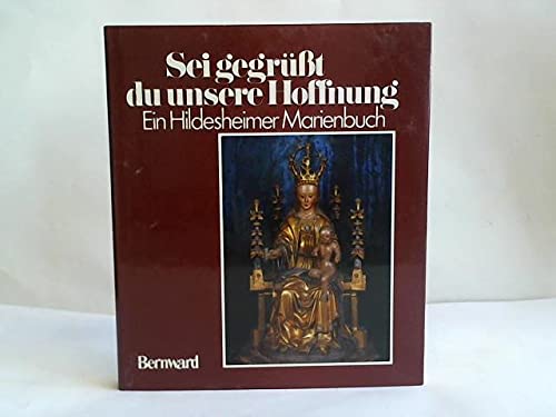 9783870652685: Sei gegrt du unsere Hoffnung. Ein Hildesheimer Marienbuch