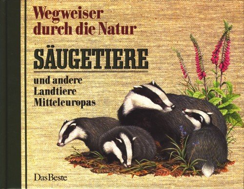 Stock image for Wegweiser durch die Natur - Sugetiere und andere Landtiere Mitteleuropas for sale by Eulennest Verlag e.K.