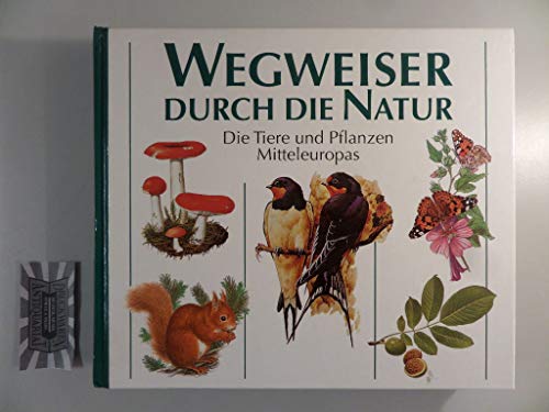 Beispielbild fr Wegweiser durch die Natur Die Tiere und Pflanzen Mitteleuropas. zum Verkauf von Abrahamschacht-Antiquariat Schmidt