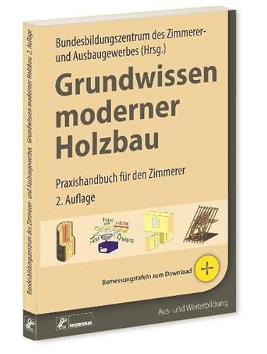 9783871042164: Grundwissen moderner Holzbau: Praxishandbuch fr den Zimmerer