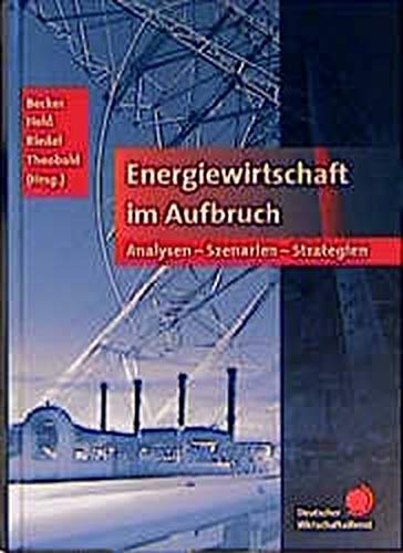 9783871563317: Energiewirtschaft im Aufbruch