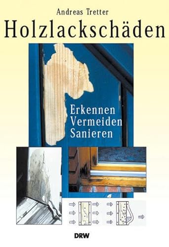 Stock image for Holzlackschden: Erkennen - Vermeiden - Sanieren for sale by medimops