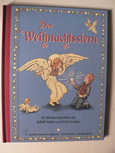 Imagen de archivo de Der Weihnachtsstern: Ein Wintermrchen a la venta por medimops