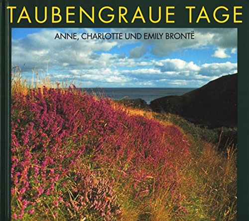 Imagen de archivo de Taubengraue Tage a la venta por medimops