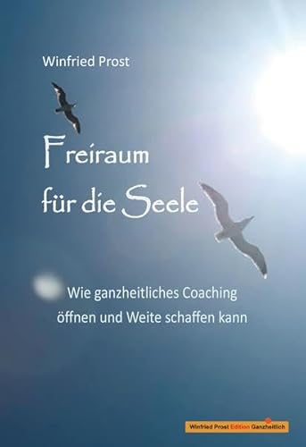 Imagen de archivo de Freiraum fr die Seele: Wie ganzheitliches Coaching ffnen und Weite schaffen kann a la venta por medimops