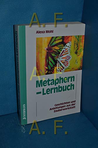 Stock image for Das Metaphern-Lernbuch. for sale by BuchZeichen-Versandhandel