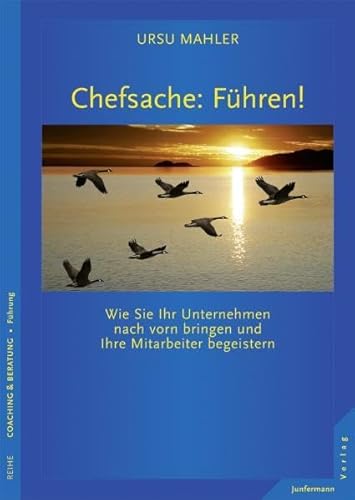 Chefsache: Führen! Wie Sie Ihr Unternehmen nach vorn bringen und Ihre Mitarbeiter begeistern - Ursu Mahler