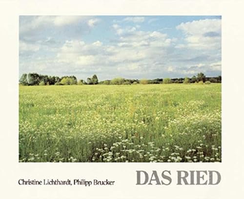 Beispielbild fr Das Ried: Landschaft zwischen Schwarzwald und Rhein zum Verkauf von medimops
