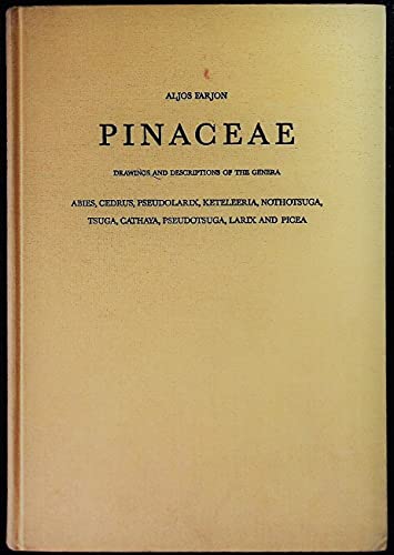 9783874292986: Pinaceae: Drawings and Descriptions of the Genera : Abies, Cedrus, Pseudolarix, Keteleeria, Nothotsuga, Tsuga, Cathaya, Pseudotsuga, Larix and Picea