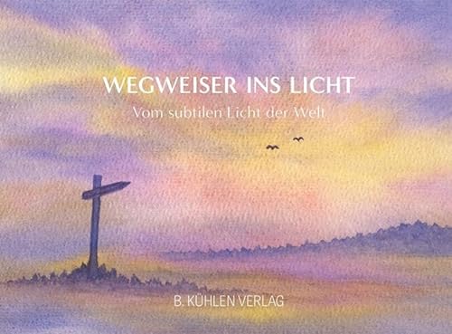 Stock image for Wegweiser ins Licht for sale by PBShop.store US