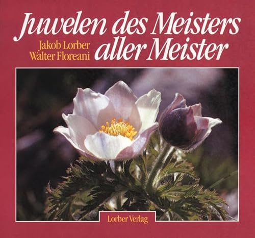 Imagen de archivo de Juwelen des Meisters aller Meister, Bd.1 a la venta por medimops