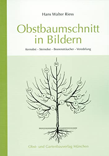 Beispielbild fr Obstbaumschnitt in Bildern: Kernobst - Steinobst - Beerenstrucher - Veredlung zum Verkauf von medimops