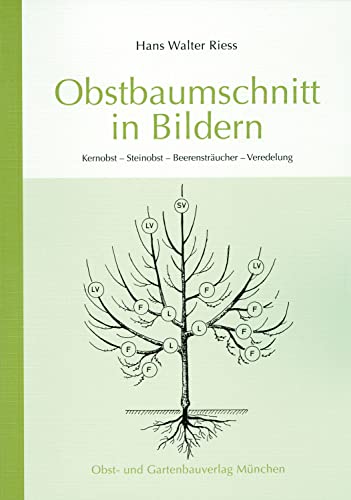 9783875960457: Obstbaumschnitt in Bildern: Kernobst - Steinobst - Beerensträucher - Veredlung