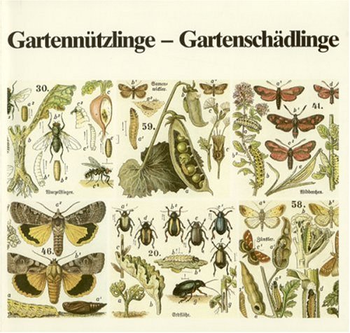 Stock image for Gartenntzlinge - Gartenschdlinge for sale by medimops