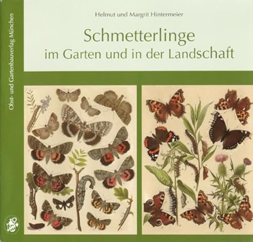 Stock image for Schmetterlinge Im Garten Und In Der Landschaft: 914 Arten Mit ber 1700 Deutschen Namen Und Doppelnamen for sale by Revaluation Books