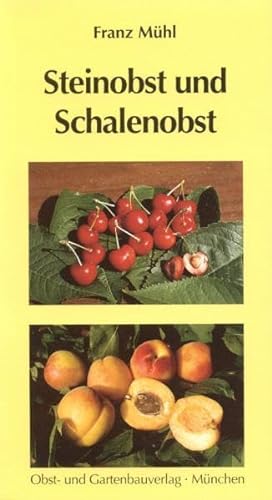 Stock image for Steinobst und Schalenobst von Franz Mhl for sale by BUCHSERVICE / ANTIQUARIAT Lars Lutzer