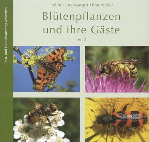 Blütenpflanzen Und Ihre Gäste: Tl.2 - Hintermeier, Helmut; Hintermeier, Margrit; Hintermeier, Helmut; Hintermeier, Margrit