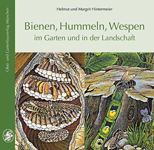 Bienen, Hummeln, Wespen im Garten und in der Landschaft - Hintermeier Helmut , Margrit