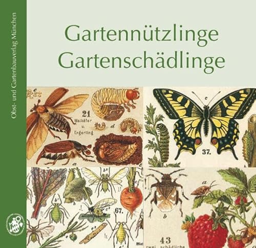 9783875961256: Gartenntzlinge - Gartenschdlinge